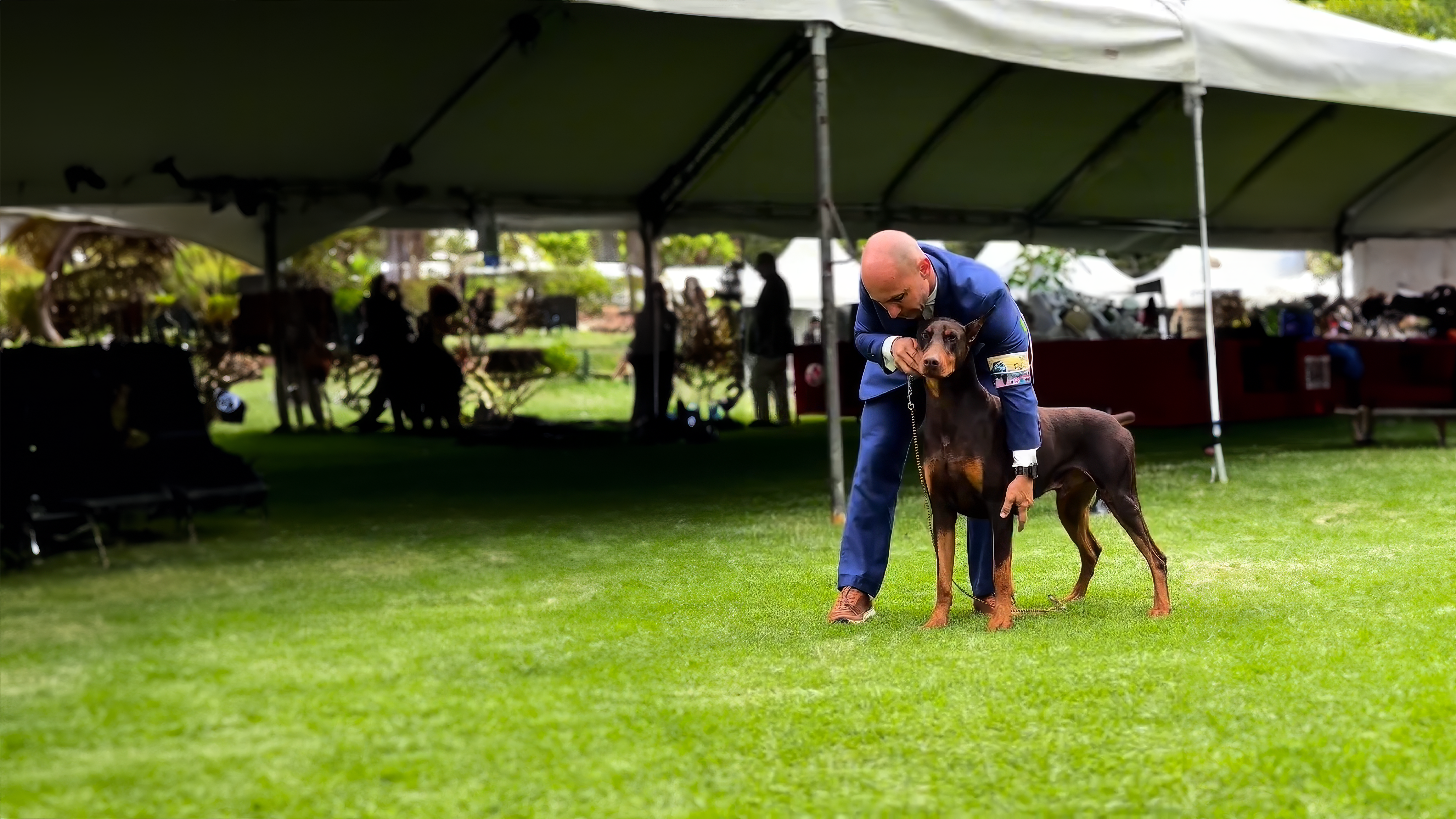 Juan Pablo LaVerde con varios perros de exposición
