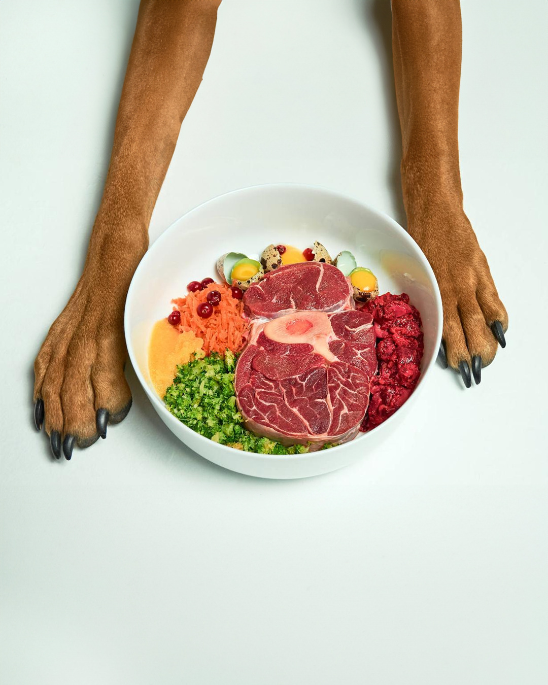 NUTRICIÓN BARF LAVERDE