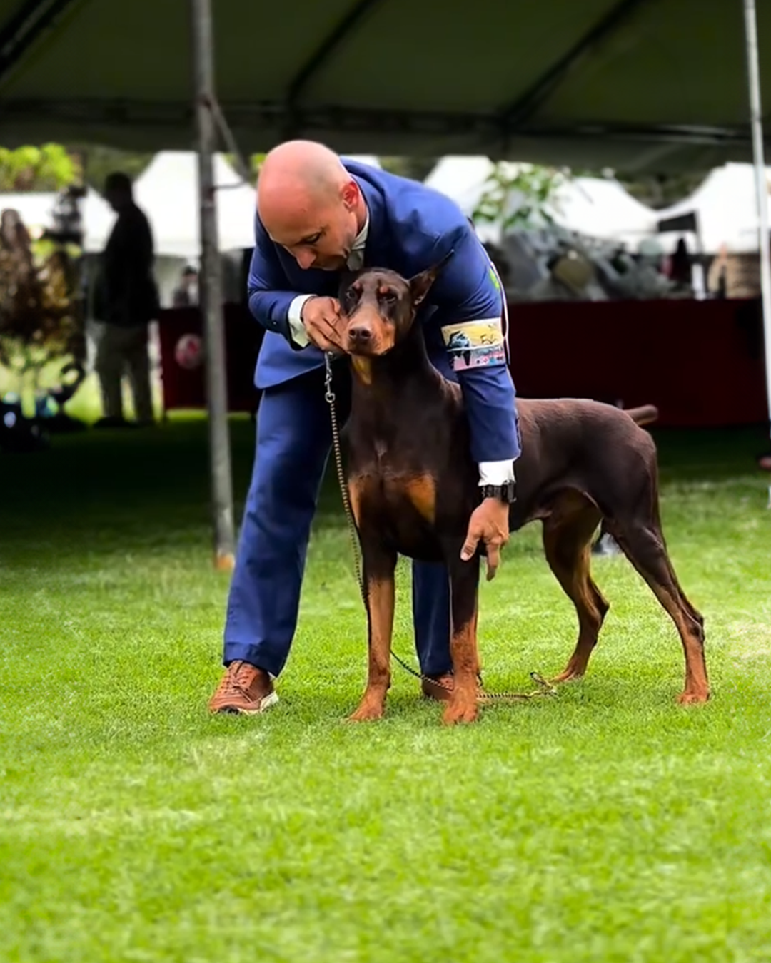Juan Pablo LaVerde con un perro de exposición