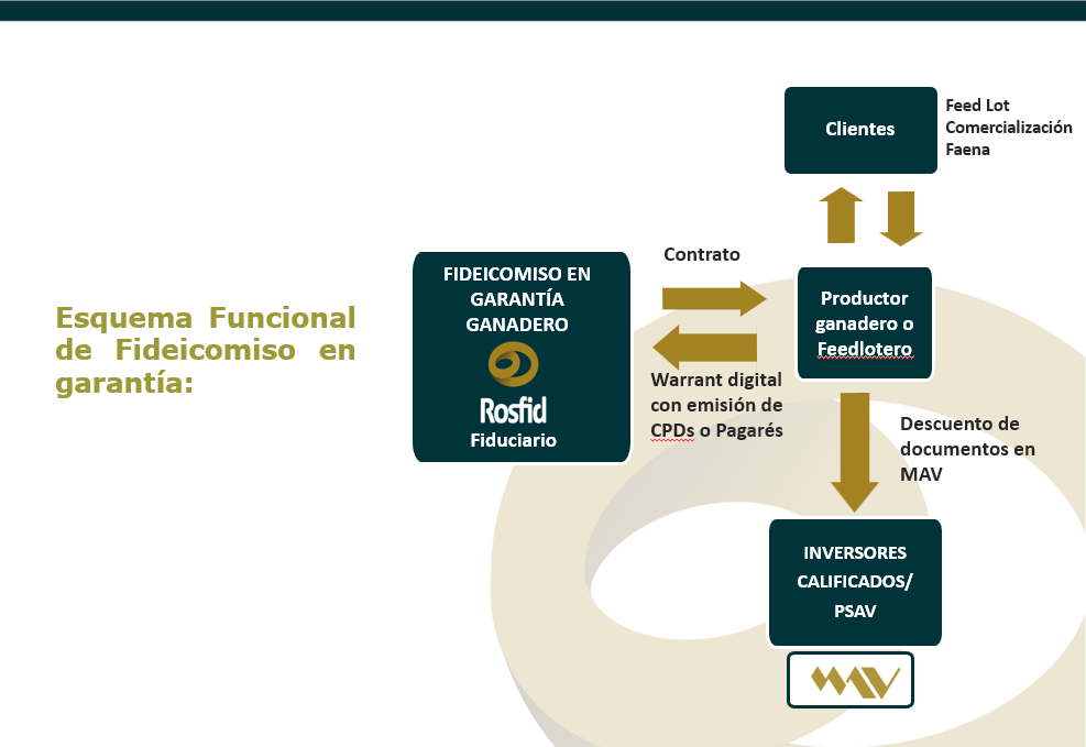 Esquema Funcional de Fideicomiso en garantia