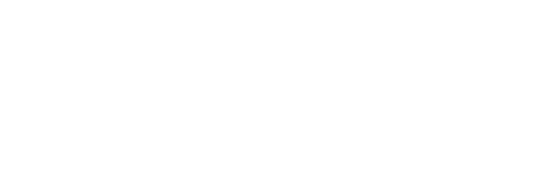 Aguirre Vazquez