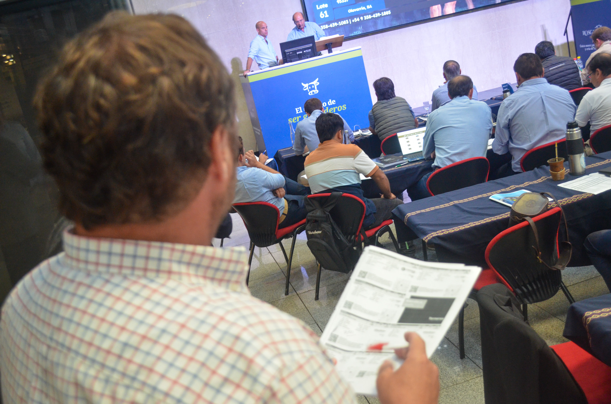 CON 8.000 CABEZAS A LA VENTA, ROSGAN LLEVA ADELANTE EL REMATE DE MERCADO DE ABRIL 