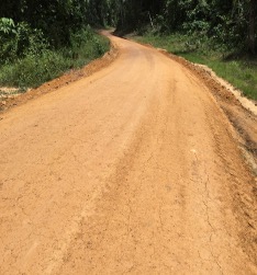 Sanquin River Bridge - Image 2