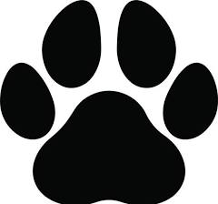 Patches & Paws Campaign