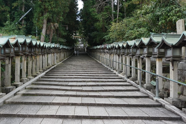 Scenic view of Nara, Japan
