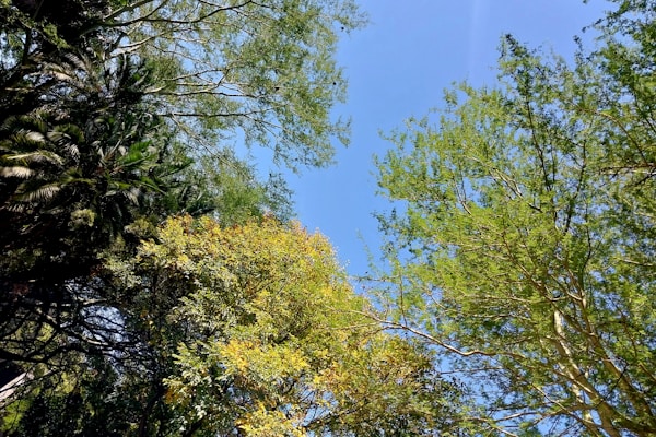 Scenic view of Pretoria, South Africa