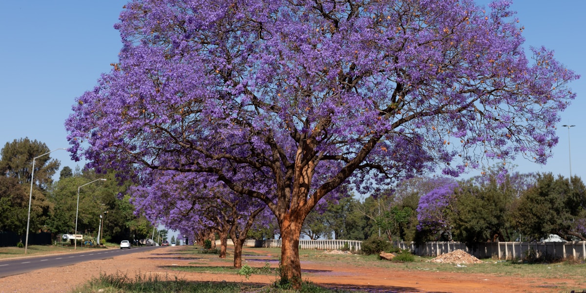 A scenic view of Pretoria, South Africa