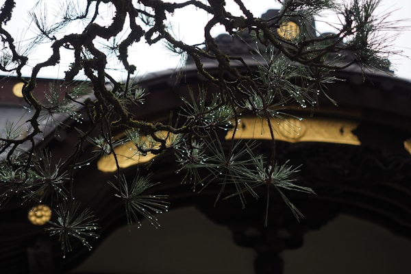 Scenic view of Sendai, Japan