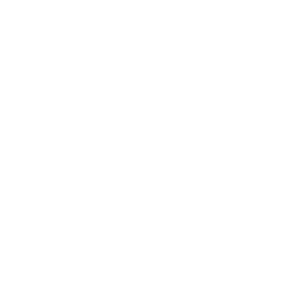 Tidal logo