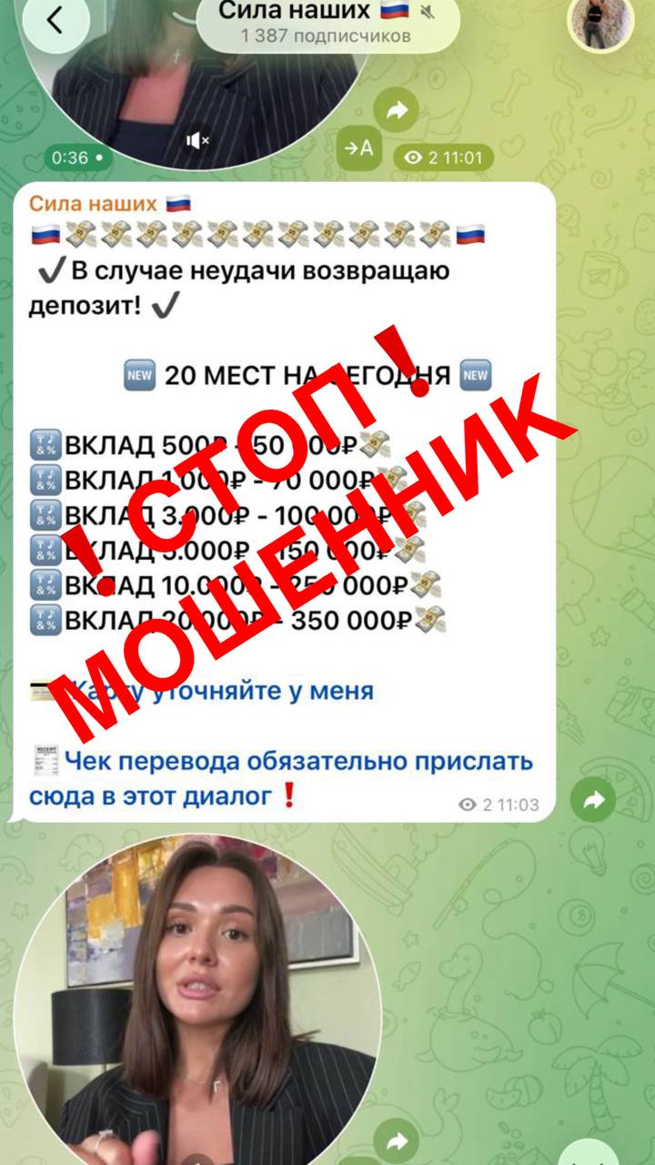 Скриншот переписки с мошенником 2