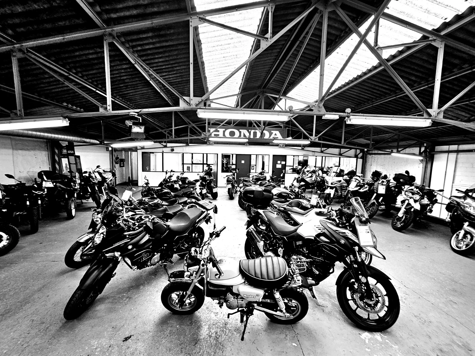 E2E LabelMoto Test 20260909