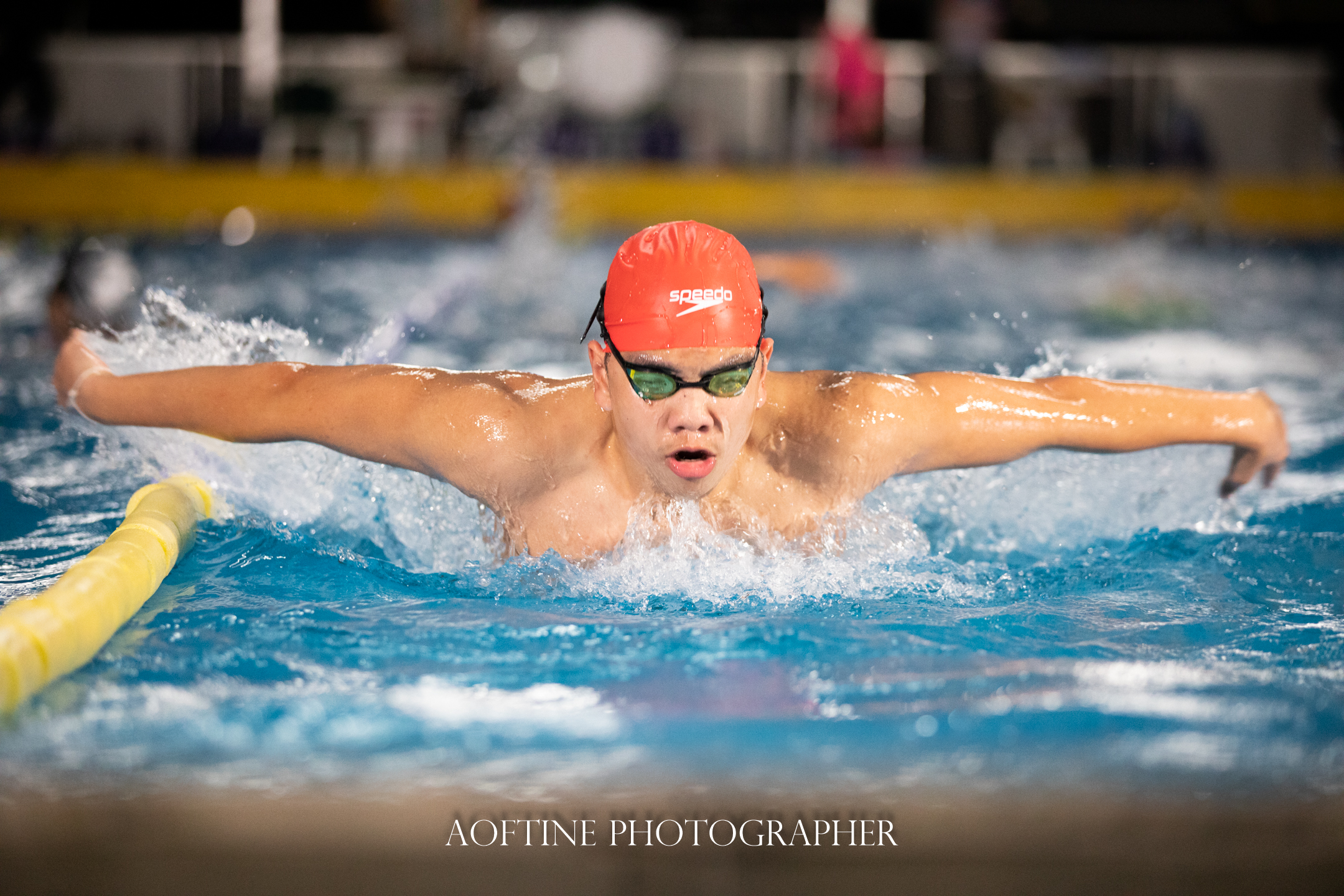 ภาพมุมกว้างของการแข่งขันว่ายน้ำในสนามกีฬาขนาดใหญ่