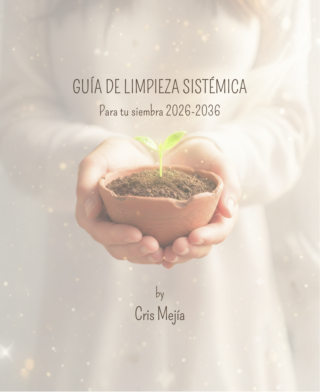 Guía de Limpieza Sistémica