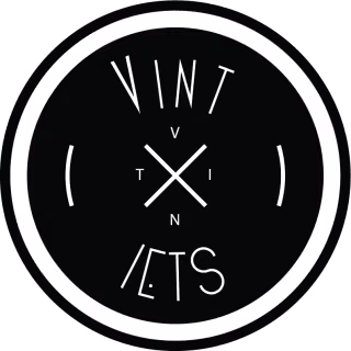 Logo van VINT-IETS