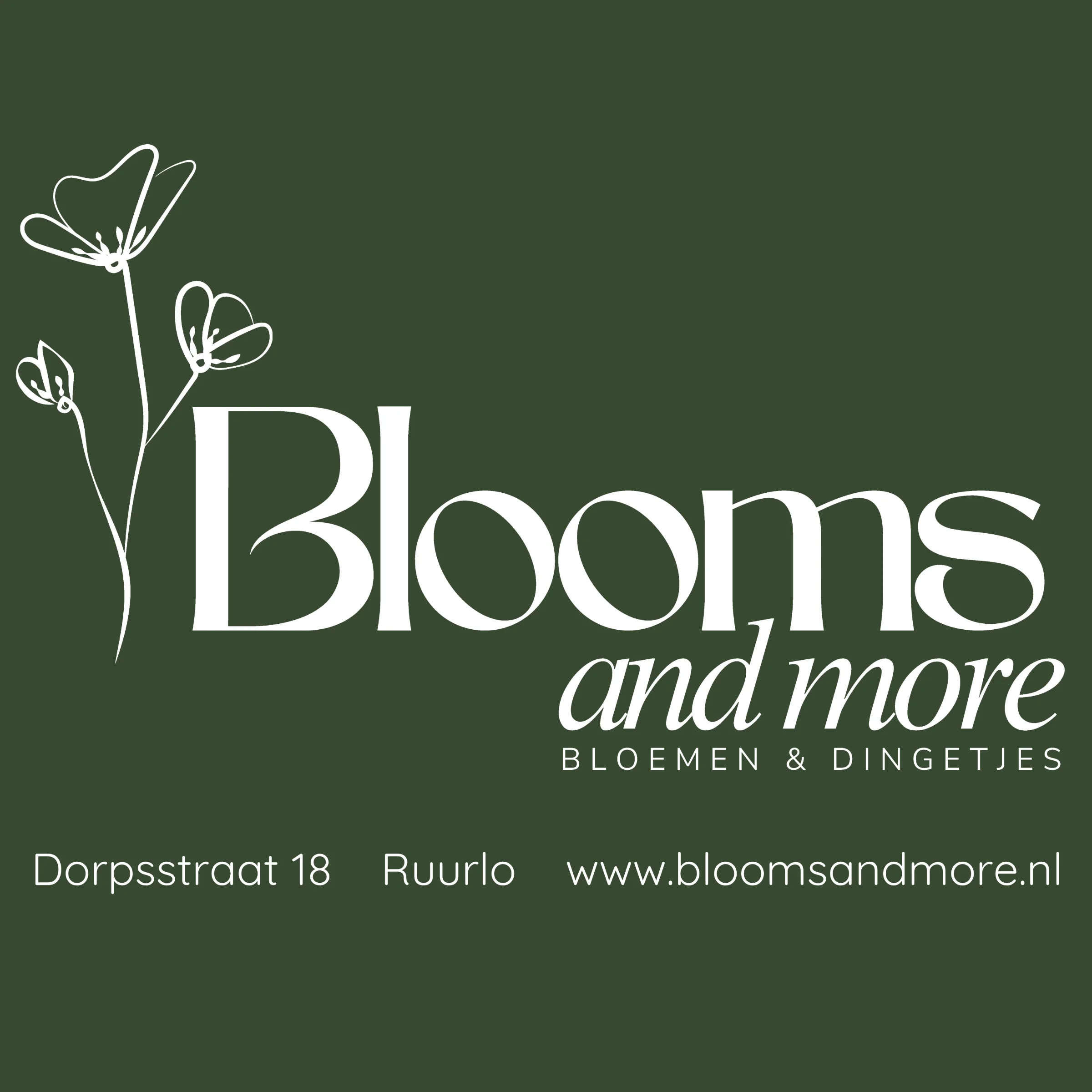 Logo of Blooms and More