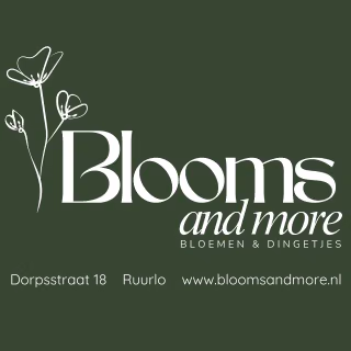 Logo van Blooms and More