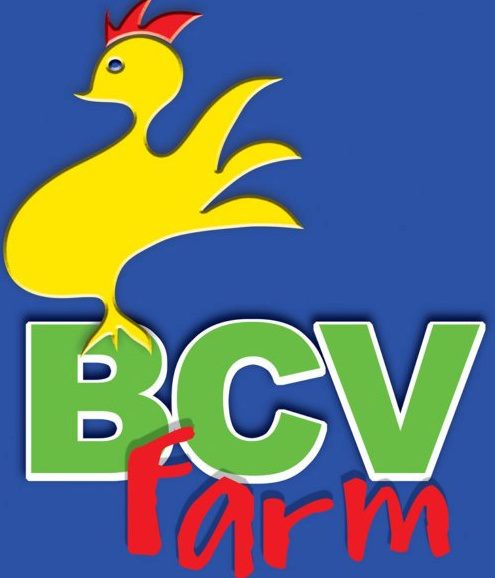BCV Farms Logo