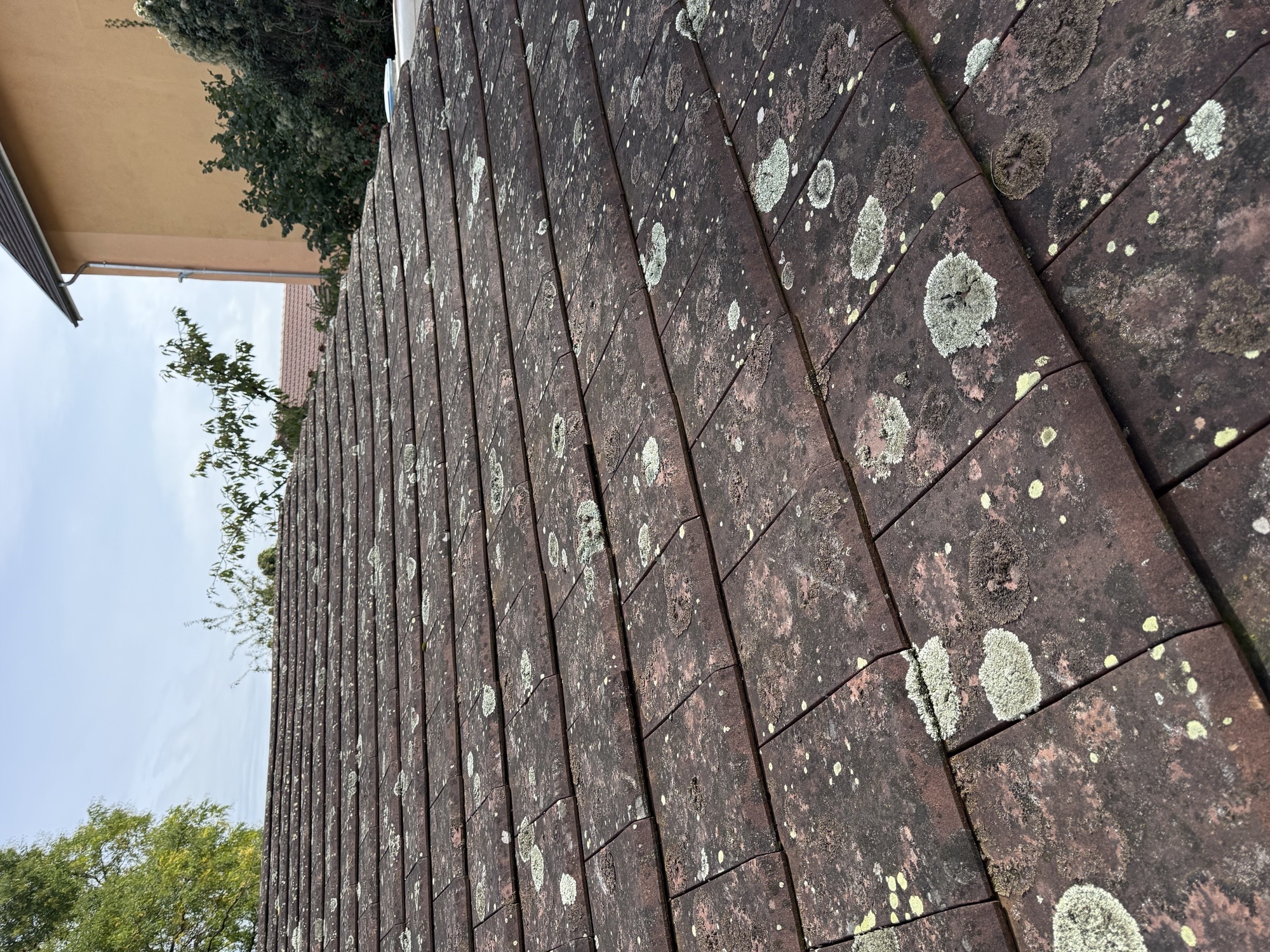 Un toit couvert de mousse et de saleté avant nettoyage