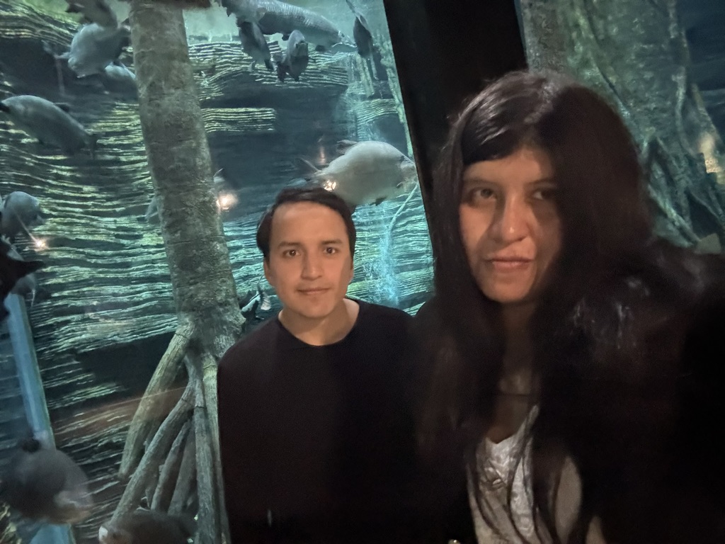 Risas y más risas en una tarde cualquiera.