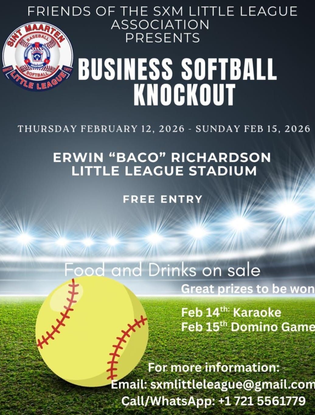 Business softball knockout