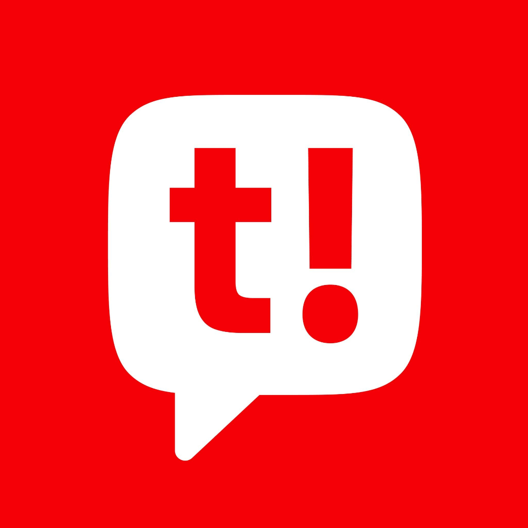 TelEm Group logo