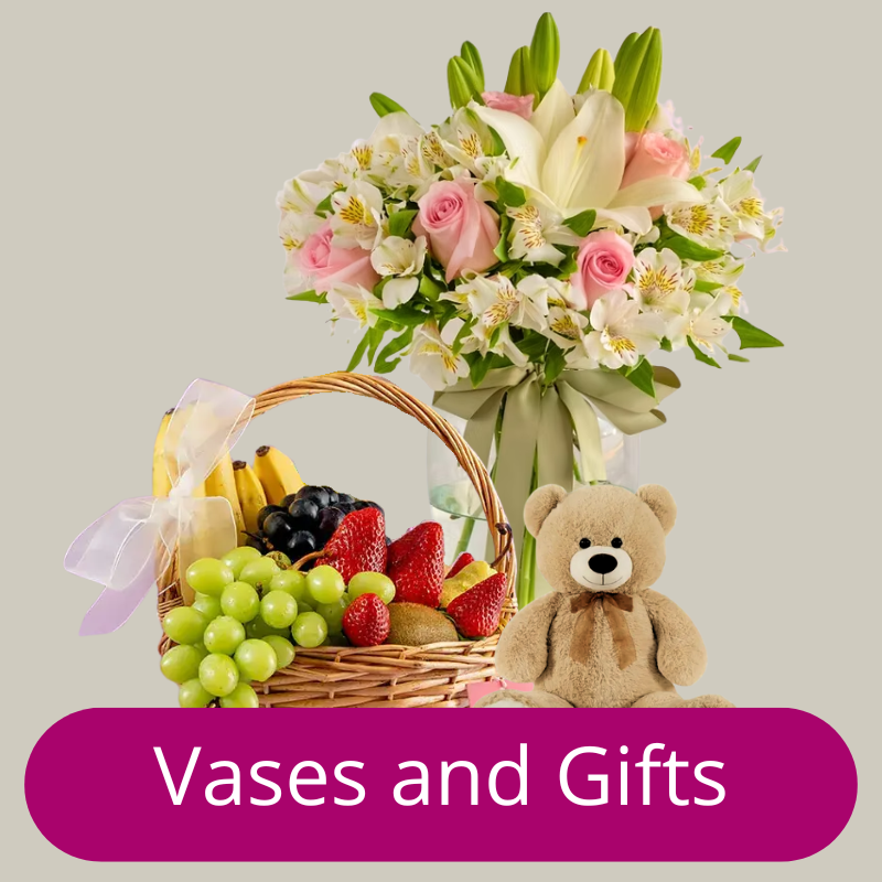 Promotional banner