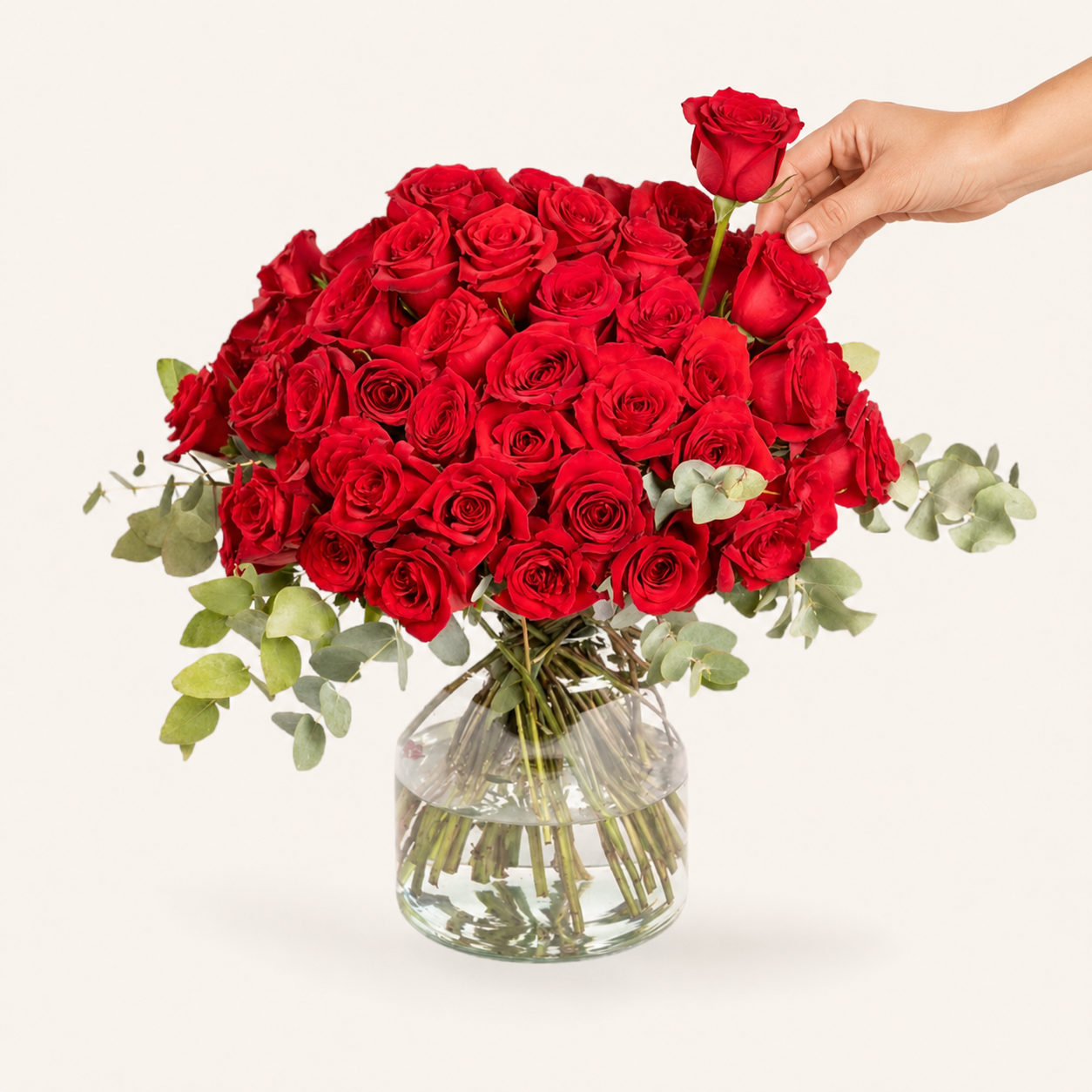 60 rosas rojas en florero 60 rosas rojas en florero - Capital Flores con envío a domicilio hoy