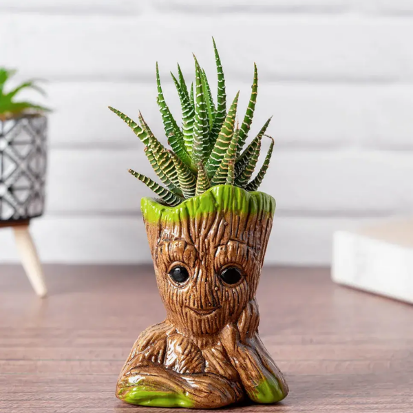 Planta Groot maceta