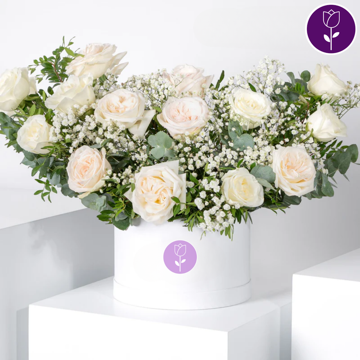 15 White Roses in a Box - Peace - Capital Flores with same-day home delivery