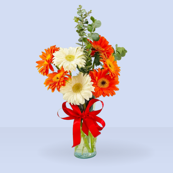 Gerberas naranjas y blancas en florero 