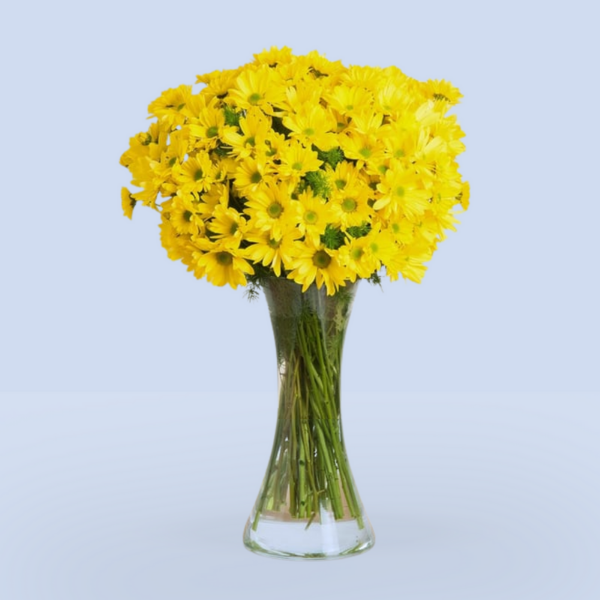 Margaritas amarillas en florero