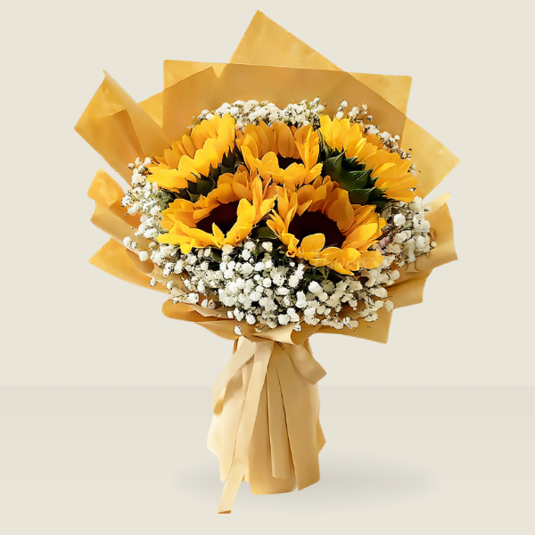 Girasoles y nube gypsophilia en ramo