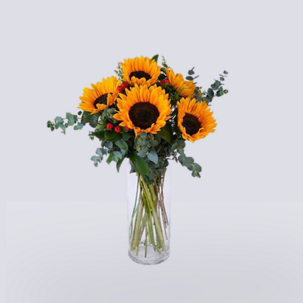 Alegre Girasol y Eucalipto