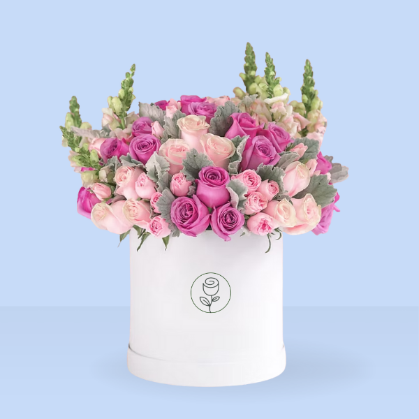 Rosas, mini rosas y perritos rositas miller en caja