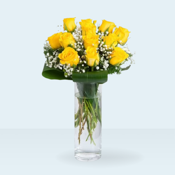 12 Rosas amarillas, nube gypsophila en florero