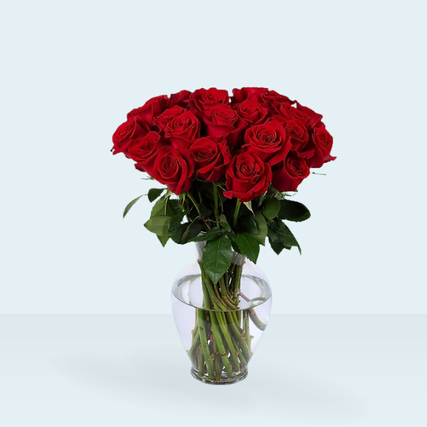 24 ROSAS ROJAS EN FLORERO