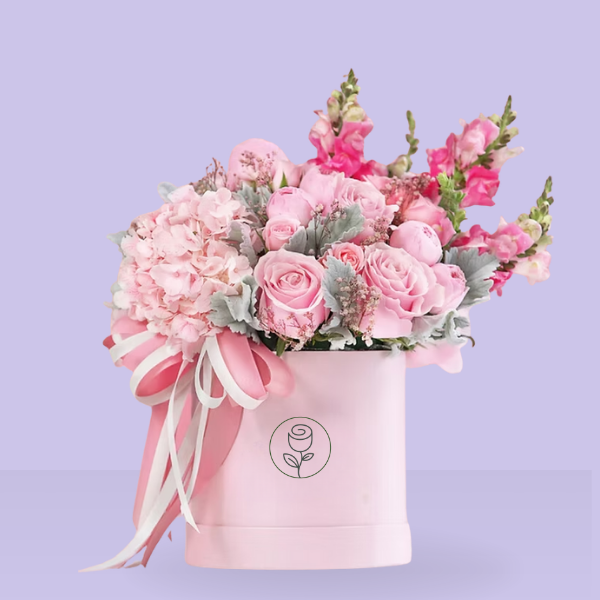 Hortensia, rosas mini claveles y perritos rositas en caja