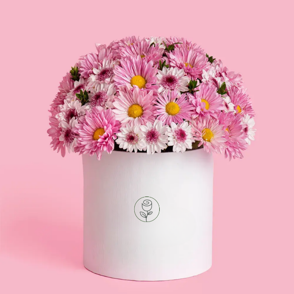 Box with pink daisies - Capital Flores with same-day home delivery
