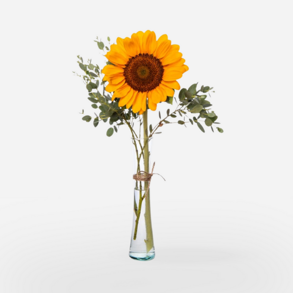 Girasol en florero de vidrio