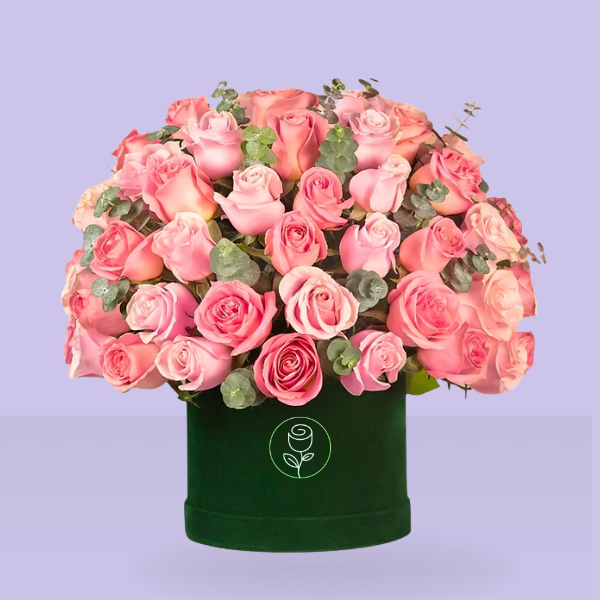 50 rosas rositas en caja