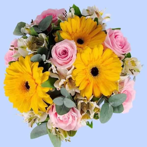 Gerberas amarillas, rosas rositas y astromelias blancas en caja - Capital Flores con envío a domicilio hoy