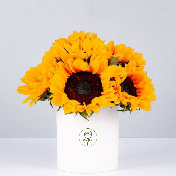 Caja con 6 girasoles