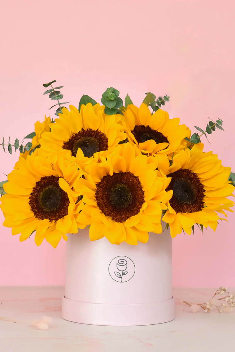 Arreglo de Girasoles en Caja Rosa con Eucalipto