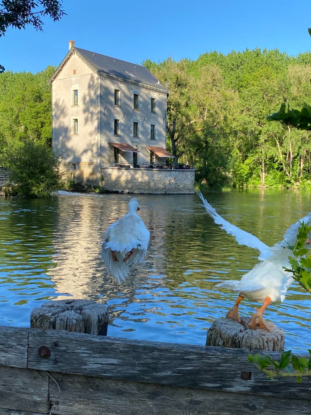 Lieu d'accueil 1