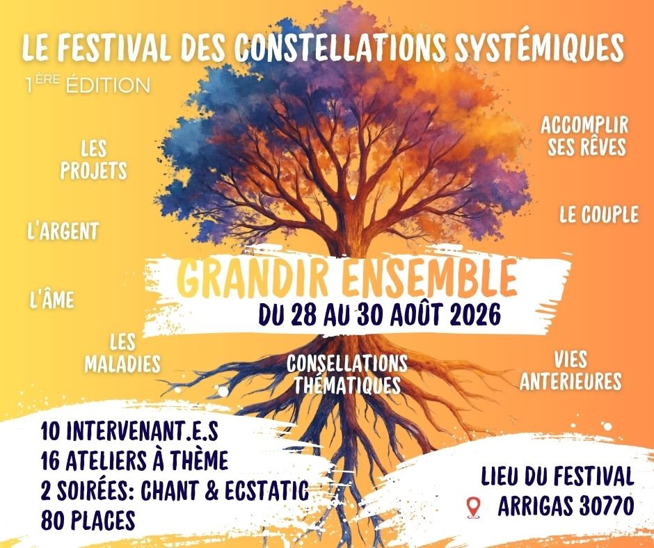 Festival des Constellations Systémiques - photo 1