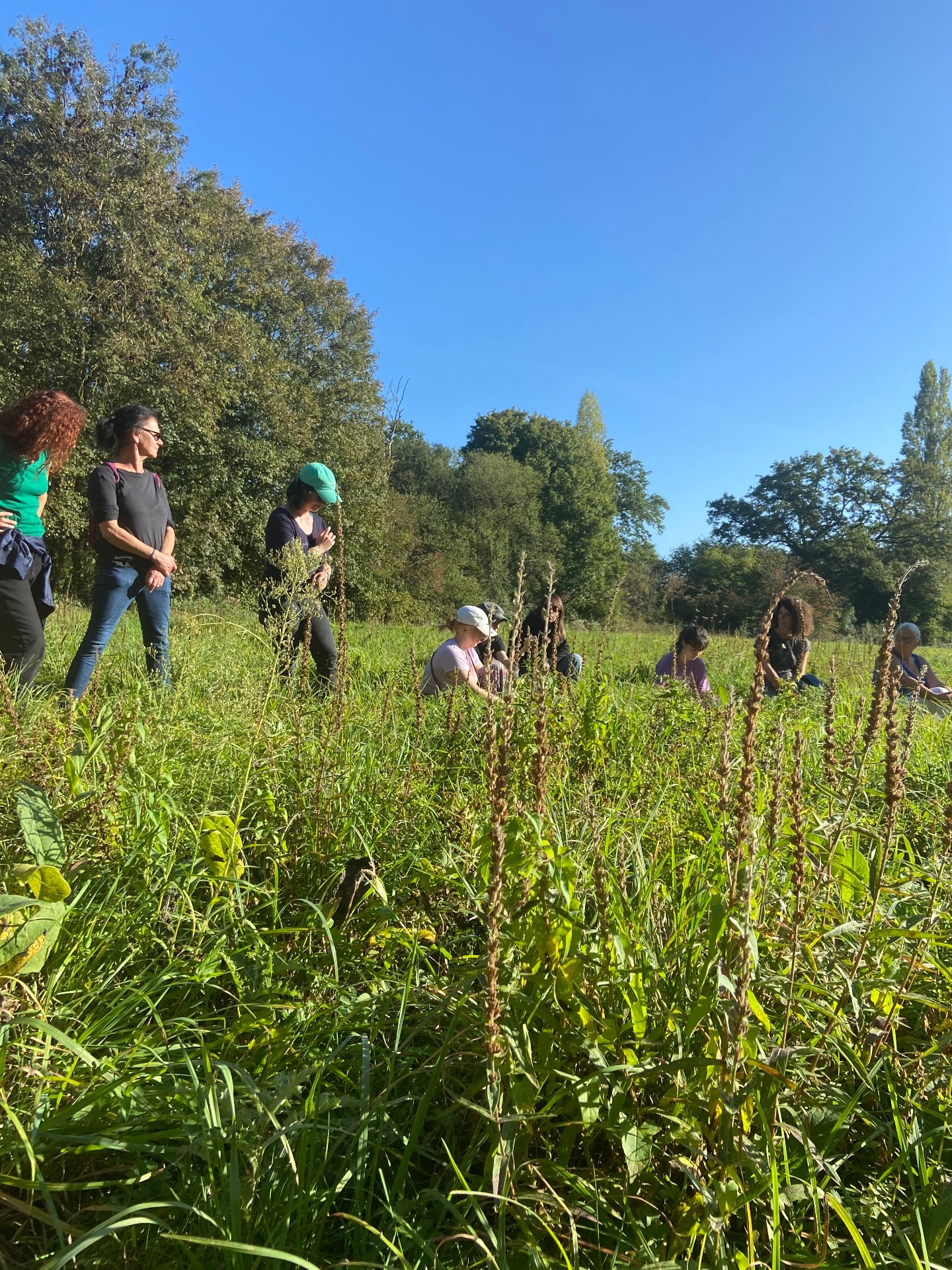 retraite shinrin yoku - bain de forêt