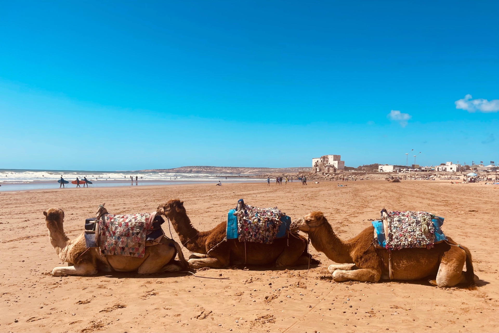 L'ALCHIMIE DES SABLES - Maroc - Désert du Sahara - photo 5