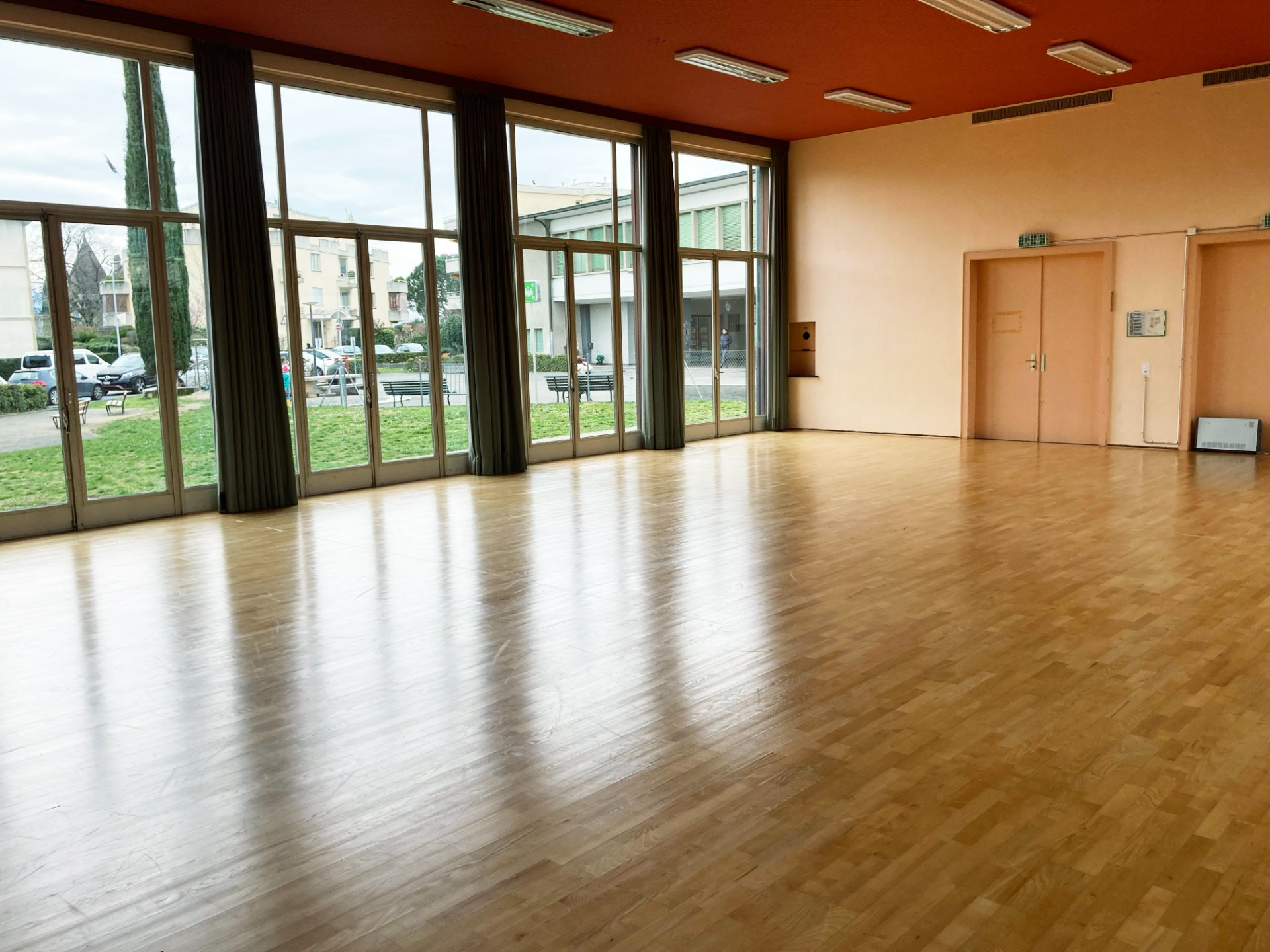 ECSTATIC DANCE A PULLY AVEC POLARNY (POLAND) - photo 1