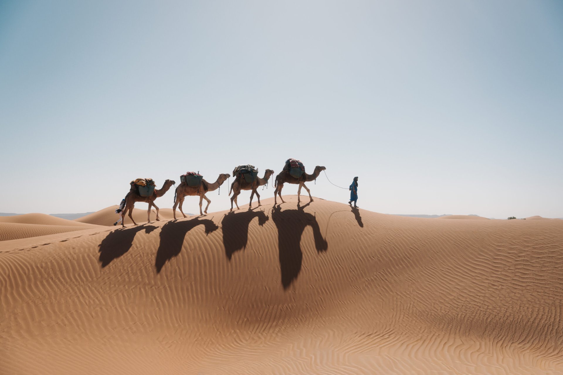 Retraite Osho Sahara No Mind No Mad® - 4