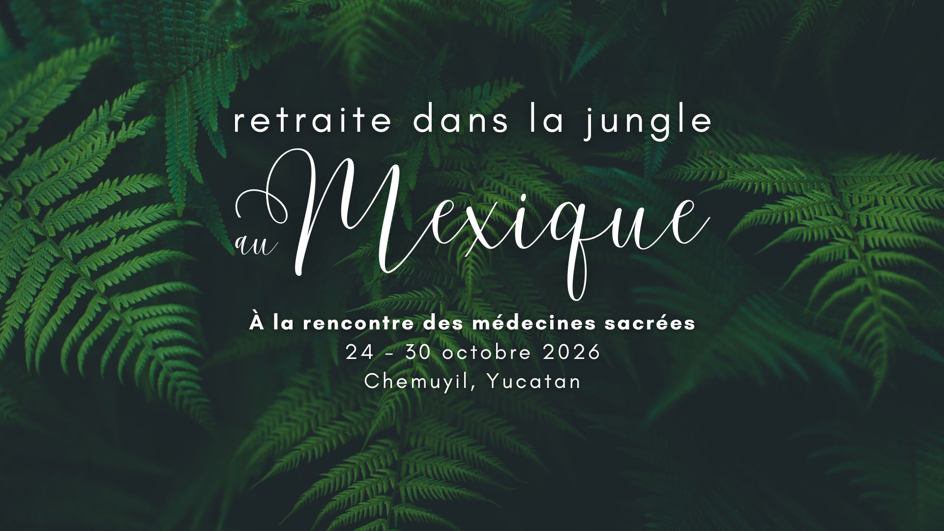Retraite médecines sacrées au Mexique